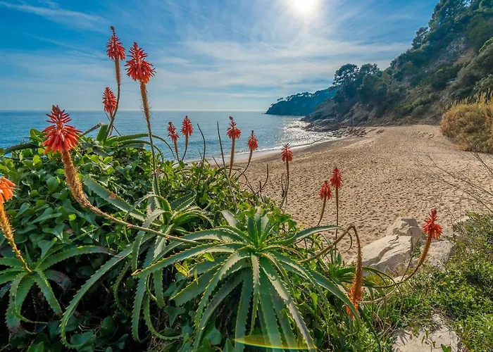 Апартаменты Rincon De Maria Cerca Playa Vistas Mar Terraza Barbacoa Тосса-де-Мар